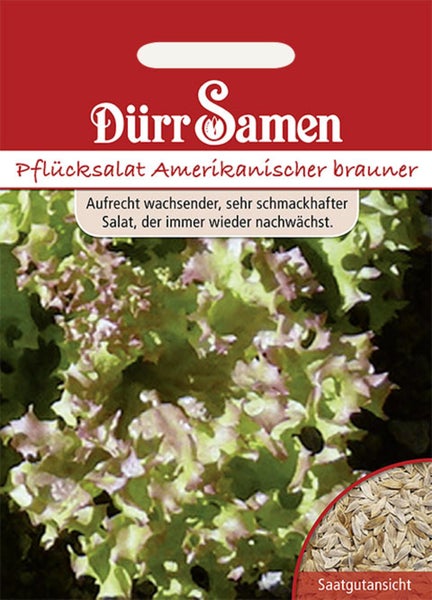 Rückseite der Saatgutpackung für Endivie Escariol grüner von Carl Pabst mit Anweisungen zu Aussaat, Kultur, Standort und Ernte. Carl Pabst Logo.