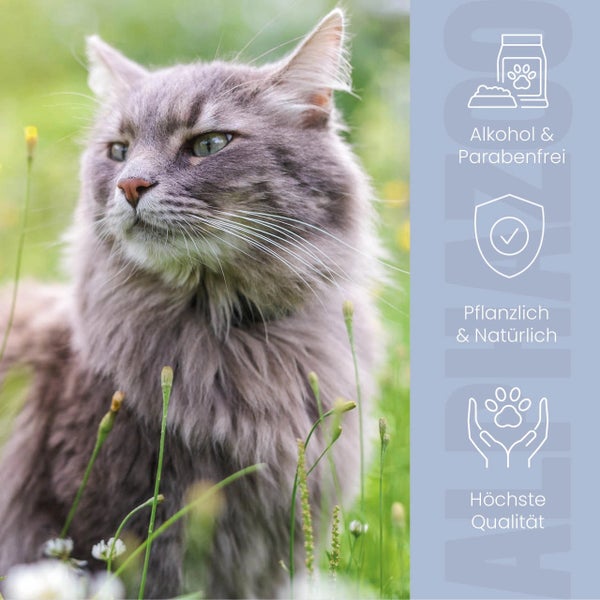 Katze im Gras mit Hinweisen auf alkoholfreies, parabenfreies, pflanzliches und natürliches Produkt von höchster Qualität