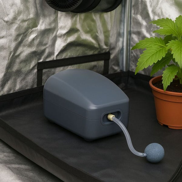 Luftpumpe mit Ausströmerstein in einem Growzelt neben einer Pflanze im Topf.