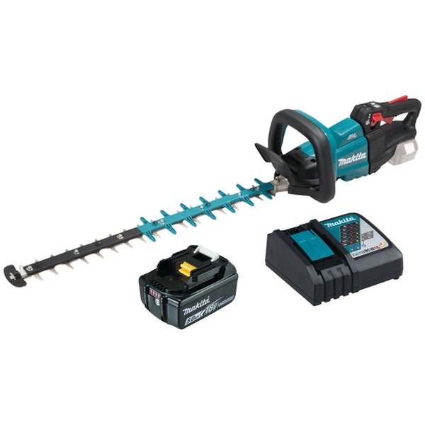 Nahaufnahme einer roten Rhododendronblüte mit Blättern