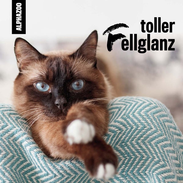 ALPHAZOO Premium Mandelöl 500ml für Hunde und Katzen