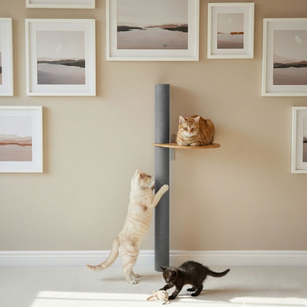 Wandkratzbaum mit Sisalsäule und Holzliegefläche, an einer Wand mit Bilderrahmen befestigt, drei Katzen interagieren mit dem Katzenmöbel.
