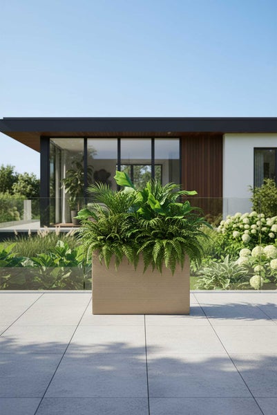 Rechteckiger Pflanzkübel mit horizontaler Riffelstruktur auf einer modernen Terrasse mit verschiedenen Pflanzen und Farnen.