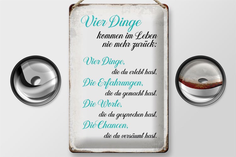 Blechschild Spruch 20x30cm 4 Dinge kommen nie mehr zurück