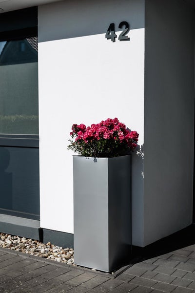 Hoher quadratischer Pflanzkübel aus Metall in Silber mit pinkfarbenen Blumen vor einer weißen Hauswand neben Hausnummer zweiundvierzig.