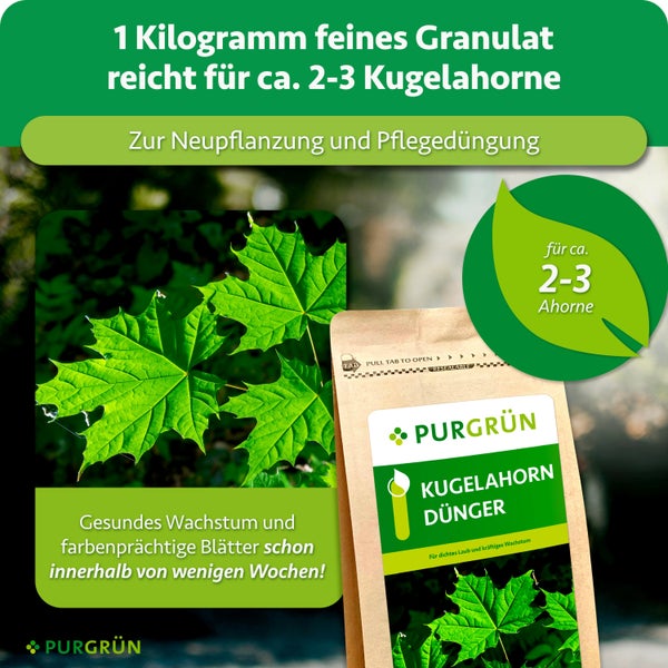 PURGRUEN Kugelahorn Duenger als feines Granulat im Beutel zur Neupflanzung und Pflegeduengung von Ahornbaeumen.