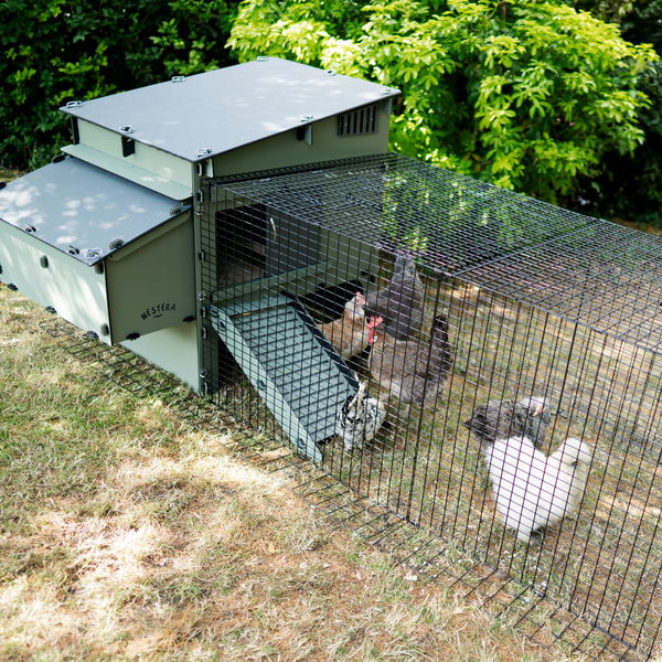 Nestera Hühnerstall aus recyceltem Kunststoff mit angeschlossenem Drahtgitter-Auslauf im Garten, mehrere Hühner im Gehege auf einer Grasfläche.