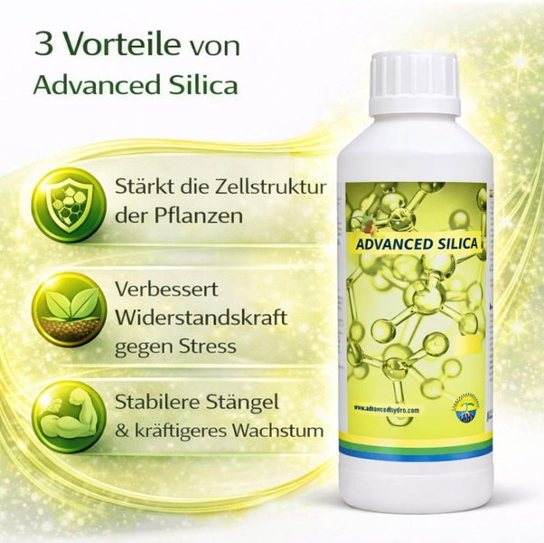 Vorteile von Advanced Silica: stärkt Zellstruktur der Pflanzen, verbessert Stressresistenz, sorgt für stabilere Stängel und kräftigeres Wachstum.