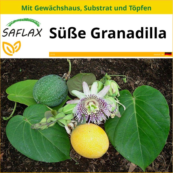 SAFLAX Anzucht Set - Süße Granadilla - Passiflora ligularis - 20 Samen - Mit Mini-Gewächshaus, Anzuchtsubstrat und 2 Töpfen
