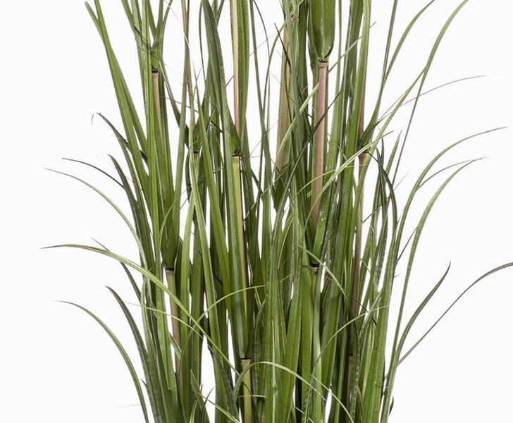 Künstliche Graspflanze im schwarzen Kunststofftopf.