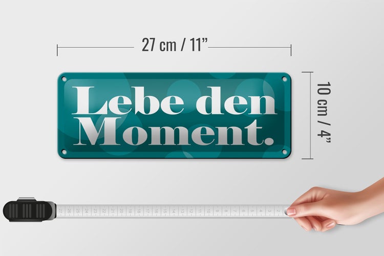 Blechschild Spruch 27x10cm Lebe den Moment Dekoration