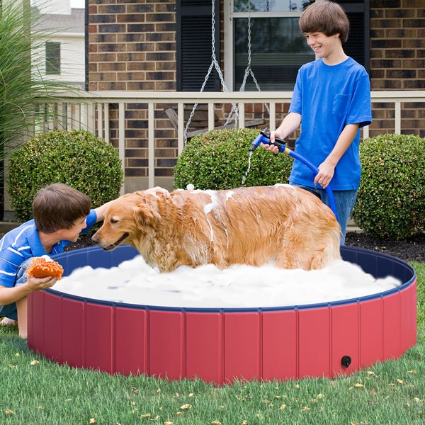 Faltbarer Hundepool im Garten, zwei Jungen waschen einen Hund mit Schaum und Gartenschlauch.