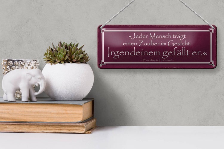 Blechschild Spruch 27x10cm jeder trägt Zauber im Gesicht Dekoration