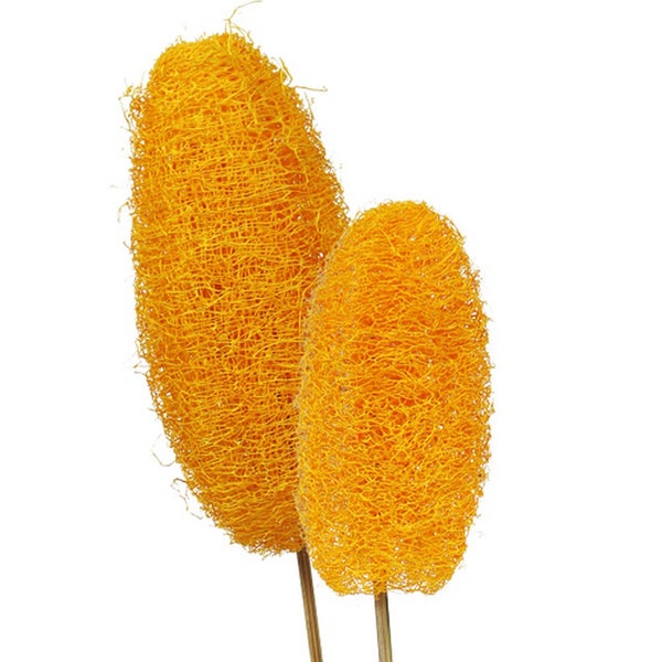 Zwei Badeschwämme aus Luffa auf Stiel