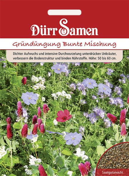 Dürr Samen Logo auf Saatgutbeutel Gründüngung Bunte Mischung, Höhe 50 bis 60 Zentimeter, mit Abbildung einer Wiese und Detailansicht der Samen.