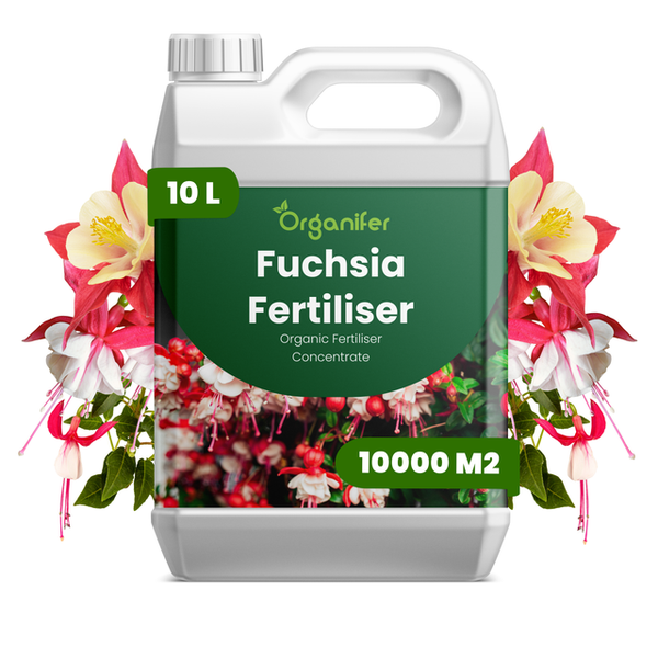 Organifer Fuchsien-Dünger Konzentrat, 10 Liter Kanister für circa 10000 Quadratmeter, organischer Flüssigdünger.