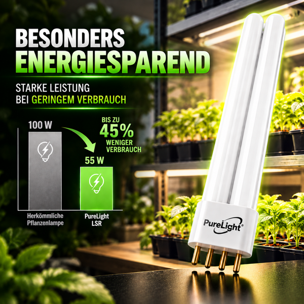 PureLight Energiespar Pflanzenlampe mit 55 Watt im Vergleich zu herkömmlicher 100 Watt Beleuchtung für effizientes Pflanzenwachstum.