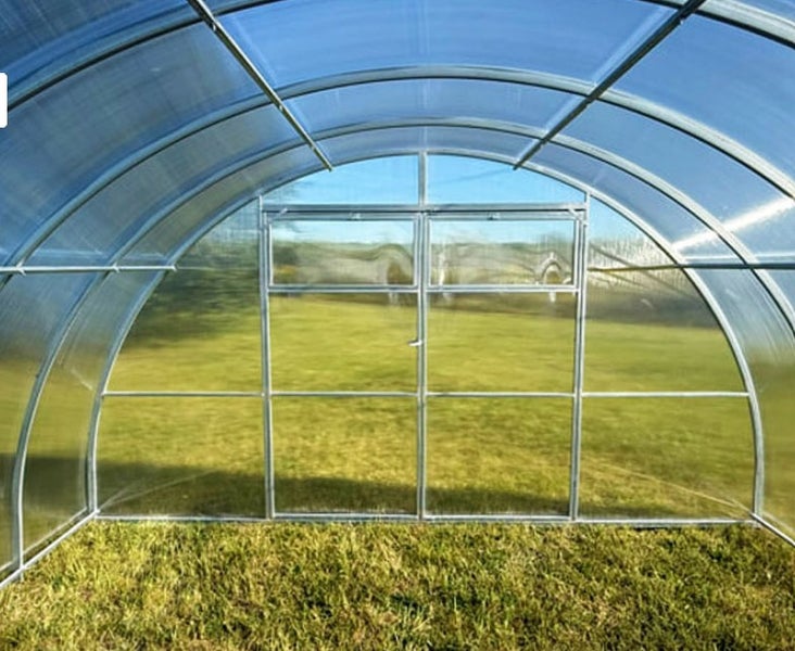 Innenansicht eines Gewächshauses mit Tür