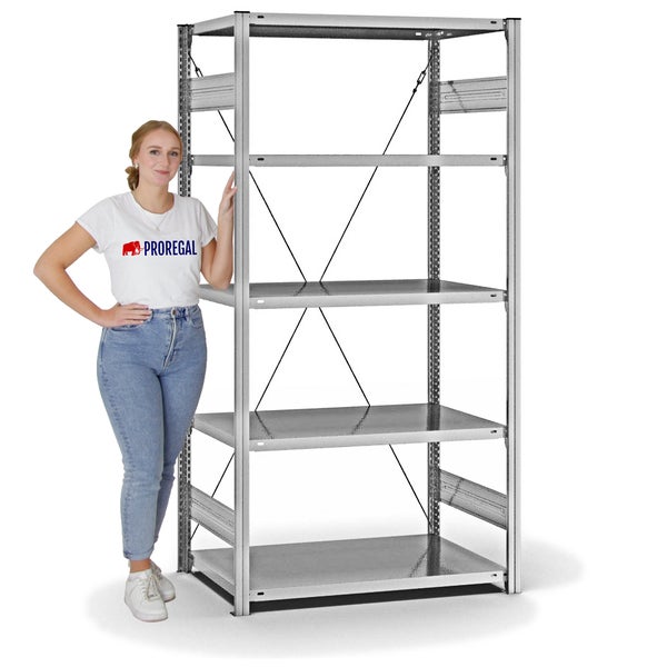 PROREGAL Fachbodenregal Stecksystem T-Profil Light-Duty Grundregal HxBxT 200 x 100 x 60 cm 5 Ebenen Fachlast 140 kg Einseitig Nutzbar Verzinkt