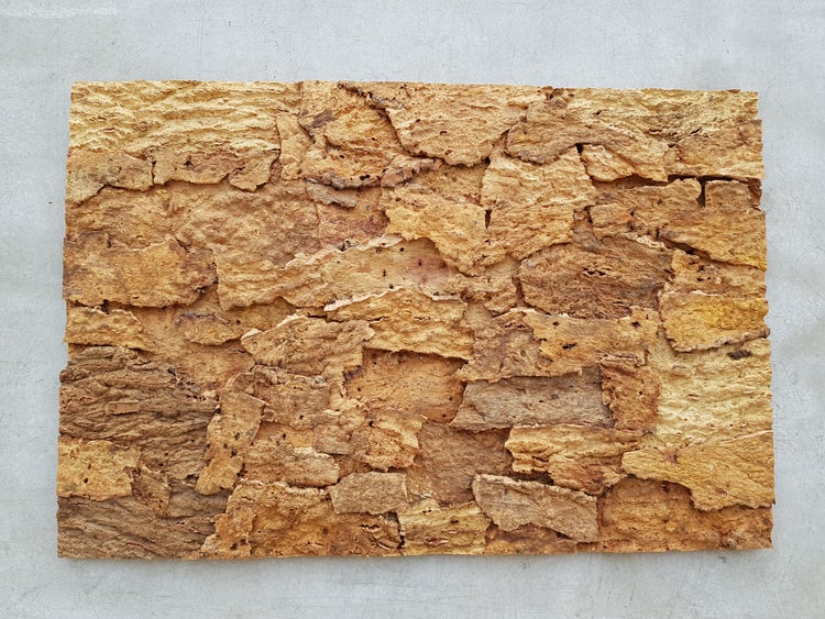 Rechteckige Platte aus natürlicher Korkrinde mit grober, strukturierter Oberfläche für Terrarien oder als Wandverkleidung.