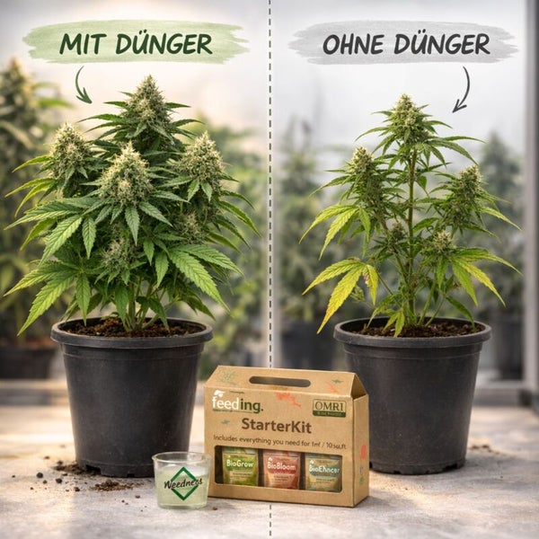 Vergleich zweier Topfpflanzen mit und ohne Dünger, Greenhouse Feeding StarterKit mit ökologischer Zertifizierung und Weedness Logo.