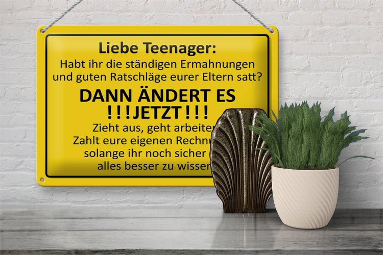 Blechschild Spruch 30x20cm Liebe Teenager -  ÄNDERT ES