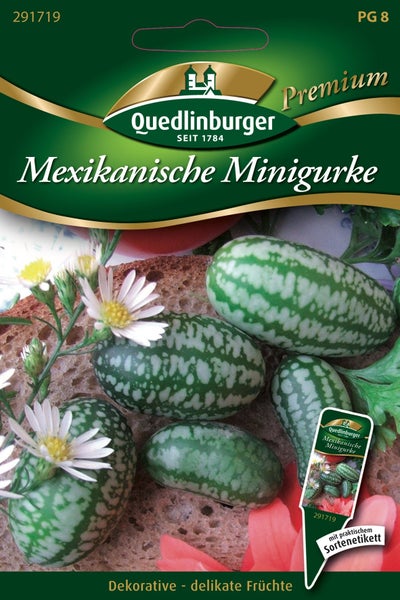Sternmoos oder Plattenmoos mit kleinen weißen Blüten auf grünem Moospolster, Deine Gartenwelt Logo.