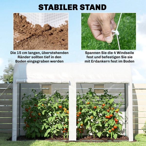 Anleitung zur stabilen Montage eines Tomatenhauses im Garten mit Informationen zum Eingraben der Folienränder und Befestigen der Windseile.
