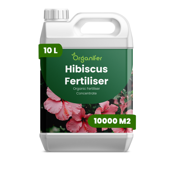 Organifer Hibiskus-Dünger, organisches Düngerkonzentrat, 10 Liter für 10000 Quadratmeter.