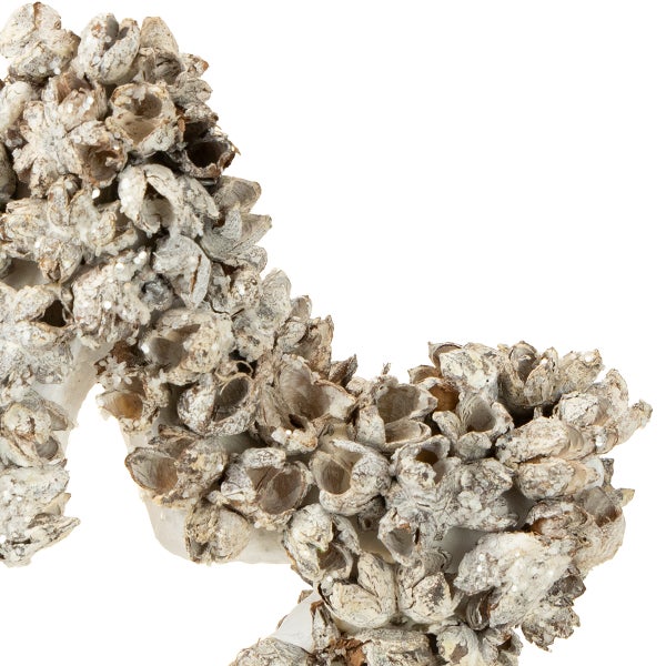 Dekorativer Kranz mit Muscheln für Innendekoration