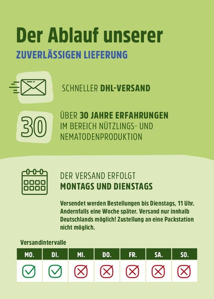 Schlupfwespen - Lagererzwespen gegen Brotkäfer, Tabakkäfer & Kugelkäfer