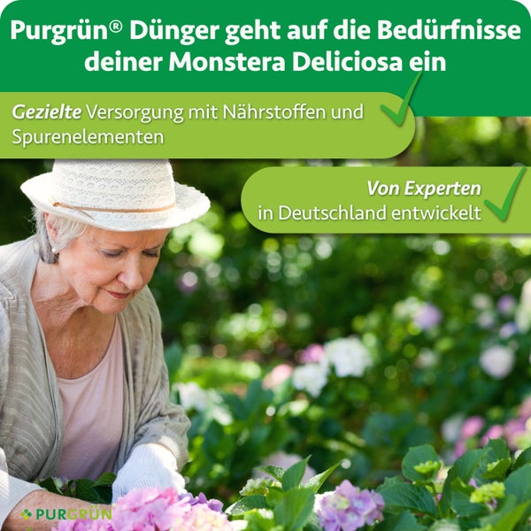Ältere Frau mit Hut pflegt Blumen im Garten, Werbegrafik für Purgrün Monstera Dünger, von Experten in Deutschland entwickelt.