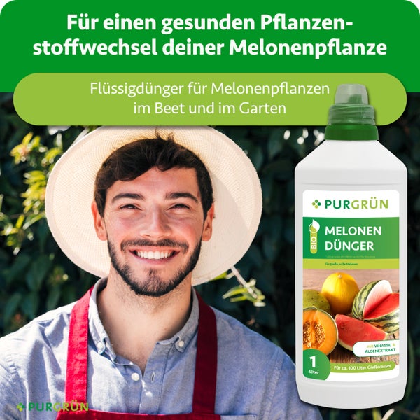 Purgrün Logo. Purgrün Bio Melonen Flüssigdünger mit Algenextrakt für Pflanzen im Beet und Garten, 1 Liter Flasche mit lächelndem Gärtner.