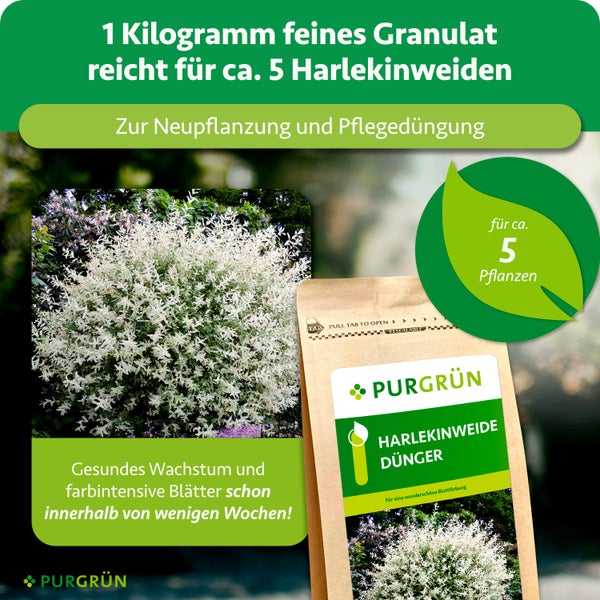 Purgrün Harlekinweide Dünger, 1 Kilogramm feines Granulat für circa 5 Pflanzen, zur Neupflanzung und Pflegedüngung, für Wachstum und Blattfarbe.