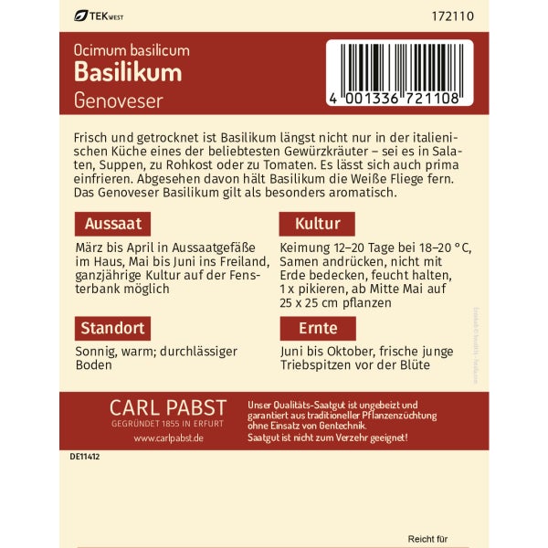 Basilikum Genoveser Samen von Pabst Keimkraft