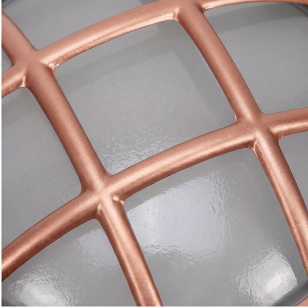 Nahaufnahme einer runden Außenleuchte mit Metallschutzgitter vor einer satinierten Glasabdeckung.