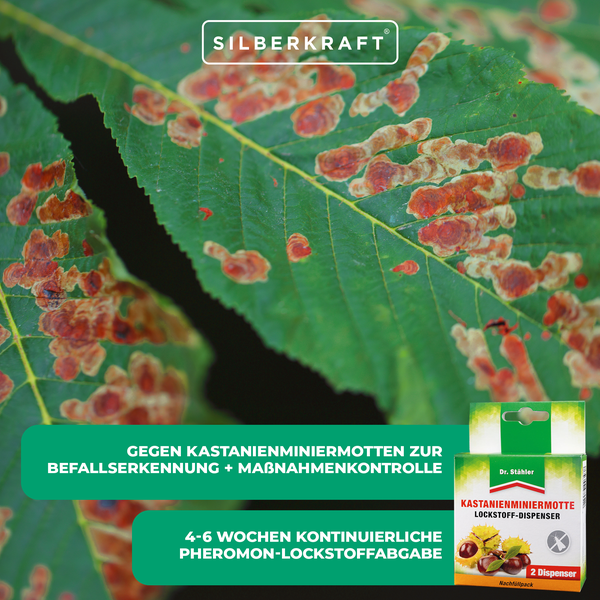 Kastanienminiermotte Lockstoffdispenser – Effektive Pheromonfallen für den Schutz von Rosskastanien – Einfache Anwendung für Garten & öffentliche Anlagen