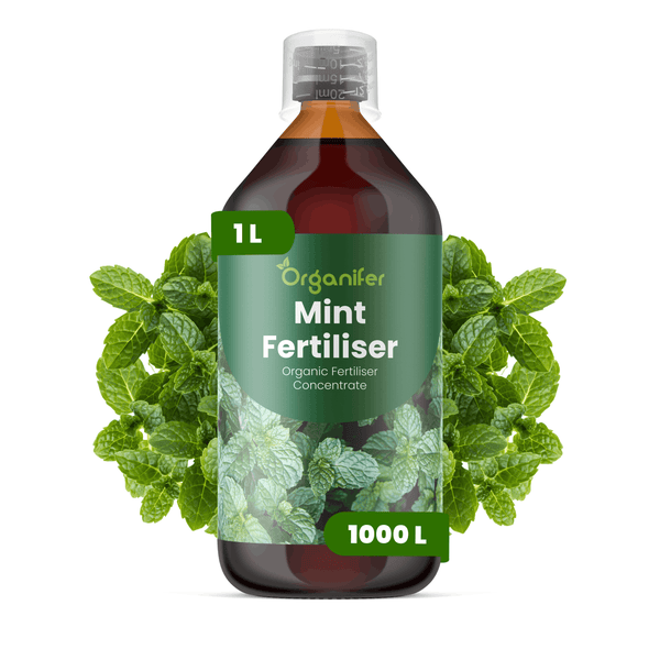 Organifer Minzdünger, organisches Flüssigdüngerkonzentrat, 1 Liter Flasche, ausreichend für 1000 Liter.
