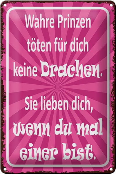 Blechschild Spruch 20x30cm wahre Prinzen töten keine