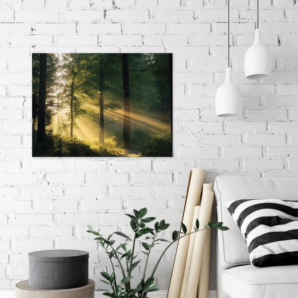 Bilder Wald Natur Leinwandbild Wandbild Wanddeko Schlafzimmer 60X40 cm