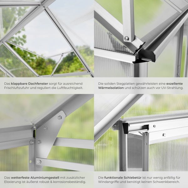Detailansicht eines Gewächshauses mit Dachfenster, Stegplatten, Aluminiumgestell und Schiebetür