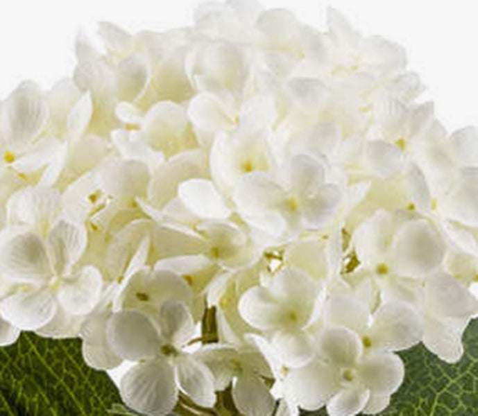 Künstliche Hortensie mit weißen Blüten und grünen Blättern.