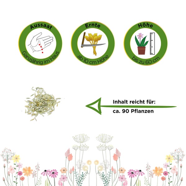 Symbole für ganzjährige Aussaat im Haus, Ernte ab 10 Zentimeter Höhe, Wuchshöhe bis 60 Zentimeter und Inhalt für circa 90 Pflanzen mit Samenabbildung.
