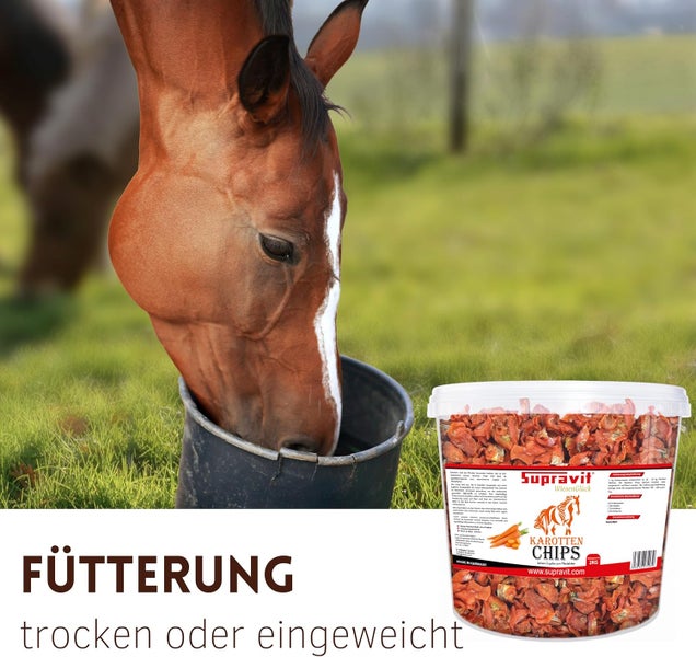 Pferd frisst Karottenchips von Supravit aus einem Eimer.