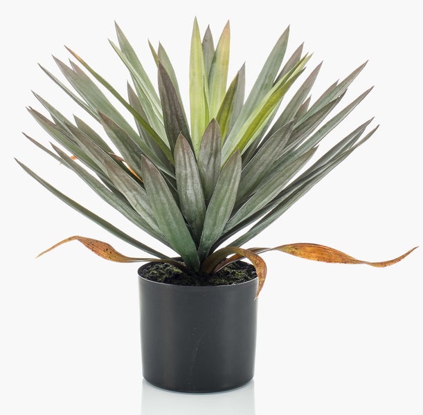 Künstliche Agave im schwarzen Kunststofftopf mit spitzen grünen Blättern.
