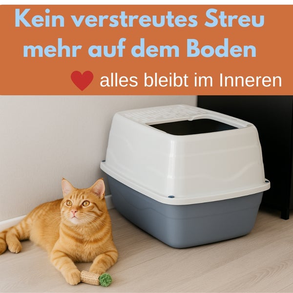 Katze liegt neben einer Katzentoilette mit Deckel
