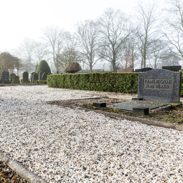 Weißer und hellgrauer Ziersplitt als Grabgestaltung und Wegbelag auf einem Friedhof mit Grabstein und Hecke.