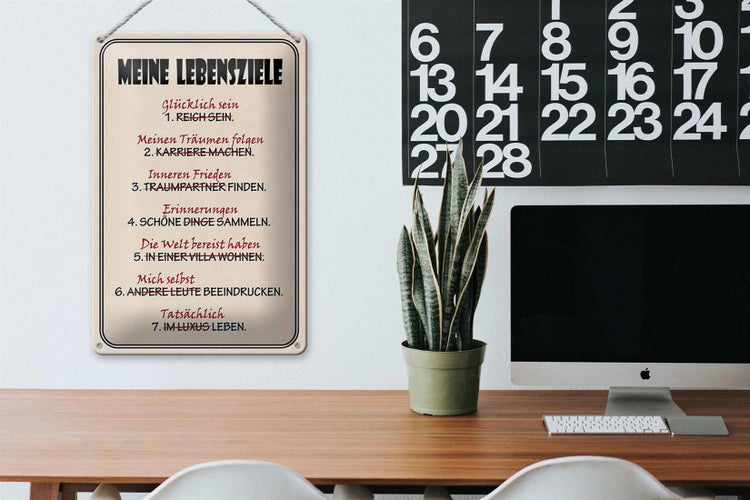 Blechschild Spruch 20x30cm meine Lebensziele glücklich