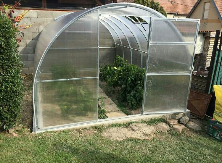 Gewächshaus mit geöffneter Tür und Pflanzen im Inneren