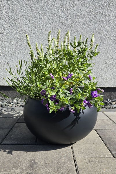 Runder, schwarzer Pflanzkübel mit violetten und weißen Gartenblumen auf einer gepflasterten Terrasse vor einer hellen Wand.